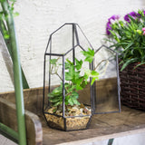 Modern Geometric Terrarium  Vintage Victorian Large Flowerpot