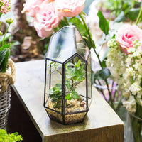 Modern Geometric Terrarium  Vintage Victorian Large Flowerpot