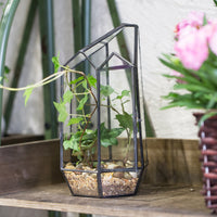 Modern Geometric Terrarium  Vintage Victorian Large Flowerpot