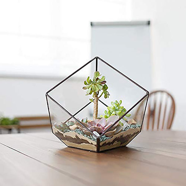 Modern Clear Glass Landscape Terrarium