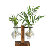 Terrarium Hydroponic Plant Vases