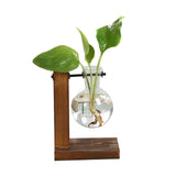 Terrarium Hydroponic Plant Vases