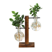 Terrarium Hydroponic Plant Vases