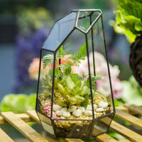 Modern Geometric Terrarium  Vintage Victorian Large Flowerpot