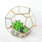 Geometric Terrarium - Polyhedron Glass Flower