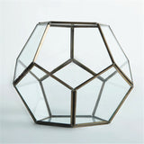 Geometric Terrarium - Polyhedron Glass Flower