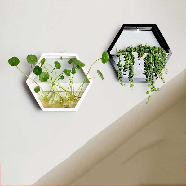 Hexagon Acrylic Wall-Mounted Glass Vas