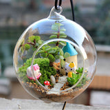 Glass Terrarium Ball